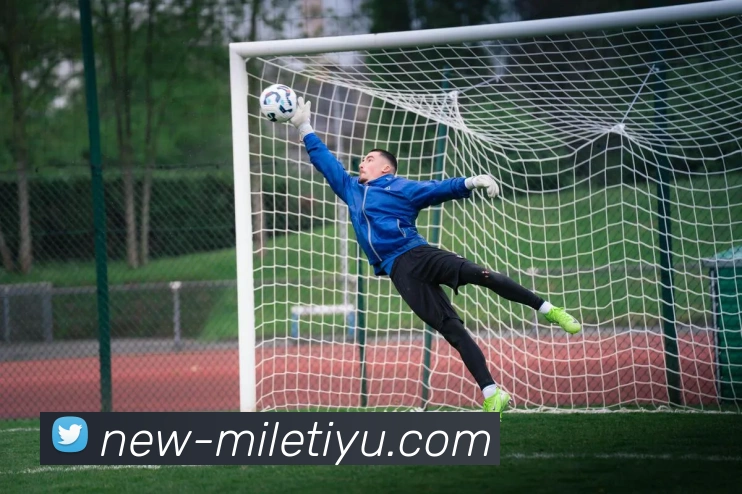 App Interface Preview